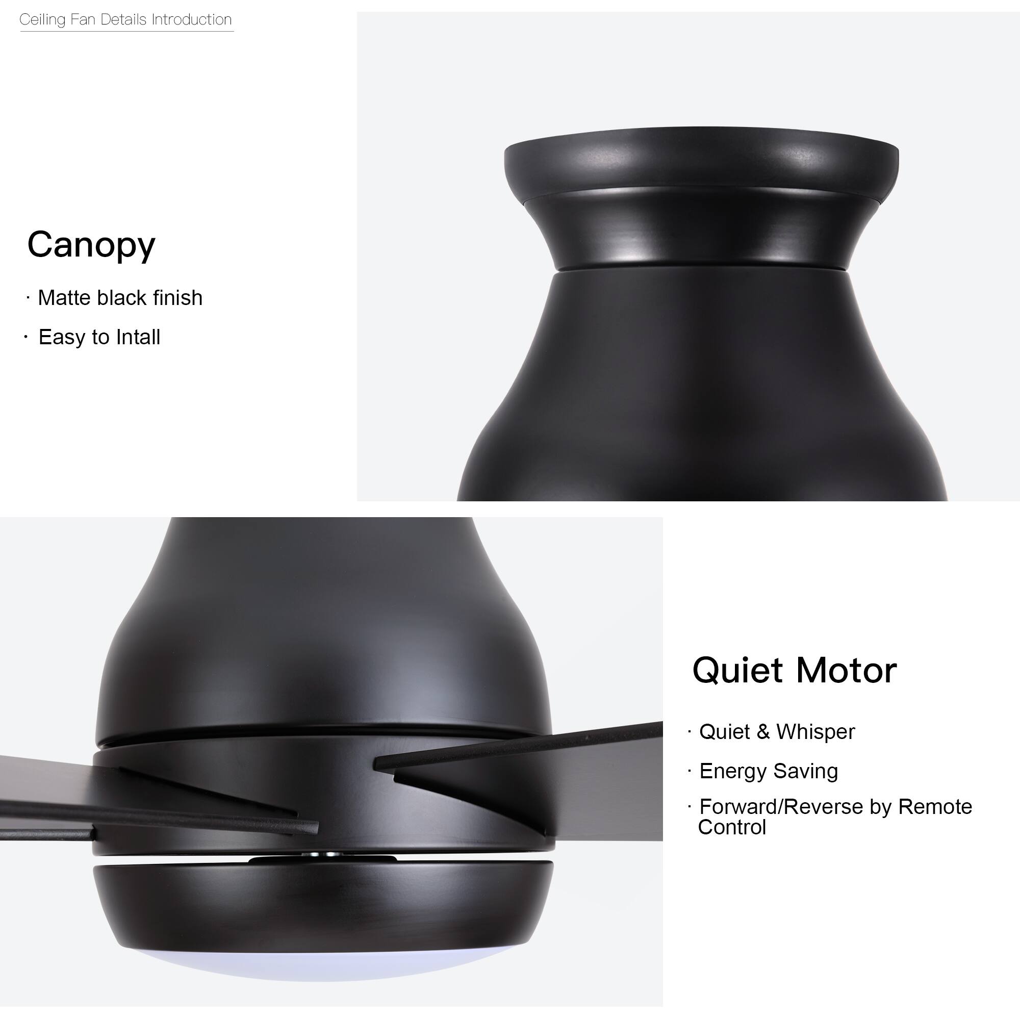 Ceiling Fan Details Introduction

Canopy
- Matte black finish
- Easy to Install

Quiet Motor
- Quiet & Whisper
- Energy Saving
- Forward/Reverse by Remote Control