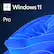 Windows 11
Pro