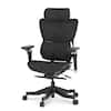 Front. FlexiSpot - C7 Max Premium Ergonomic Mesh Seat Office Chair - Black.