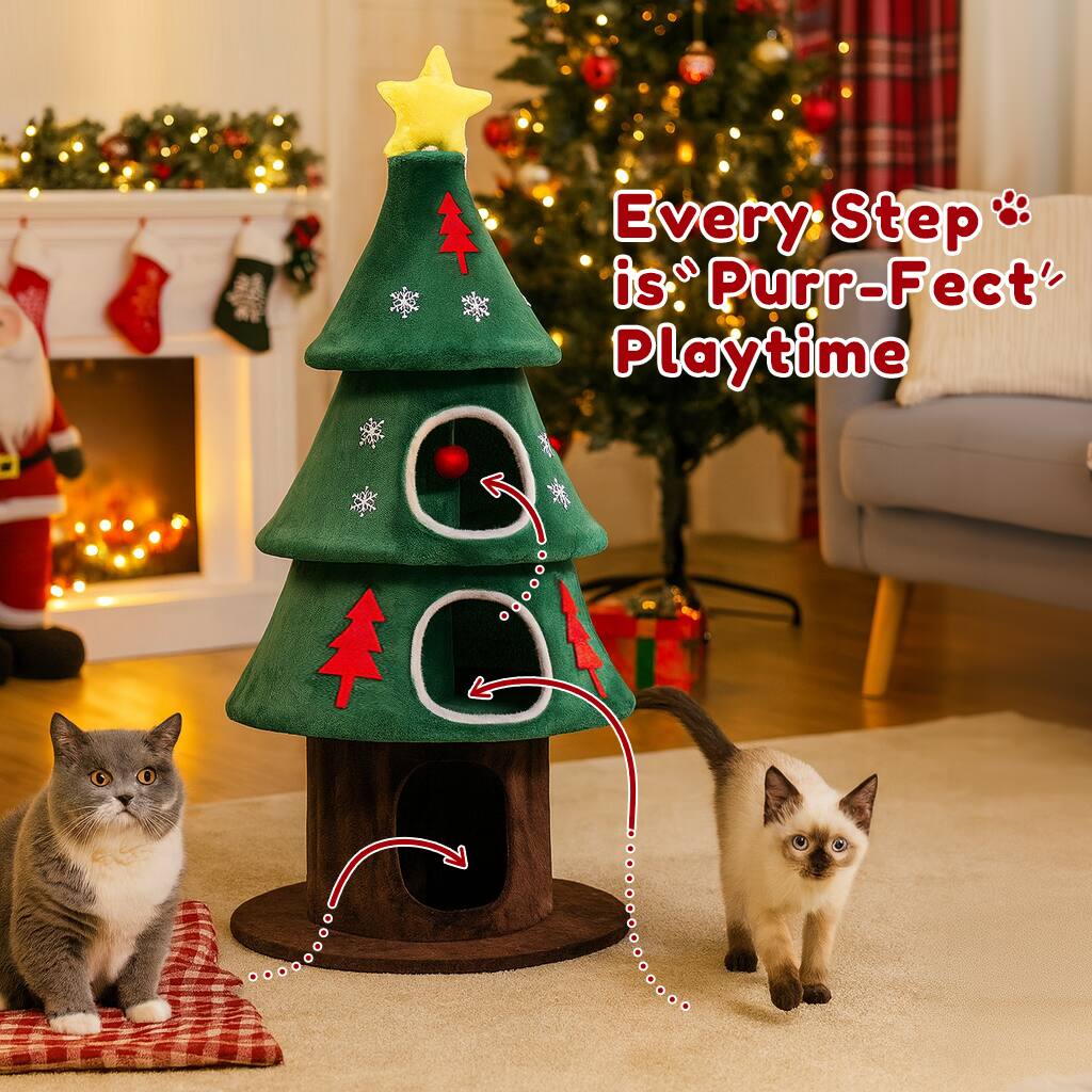 Every Step is "Purr-Perfect" Playtime