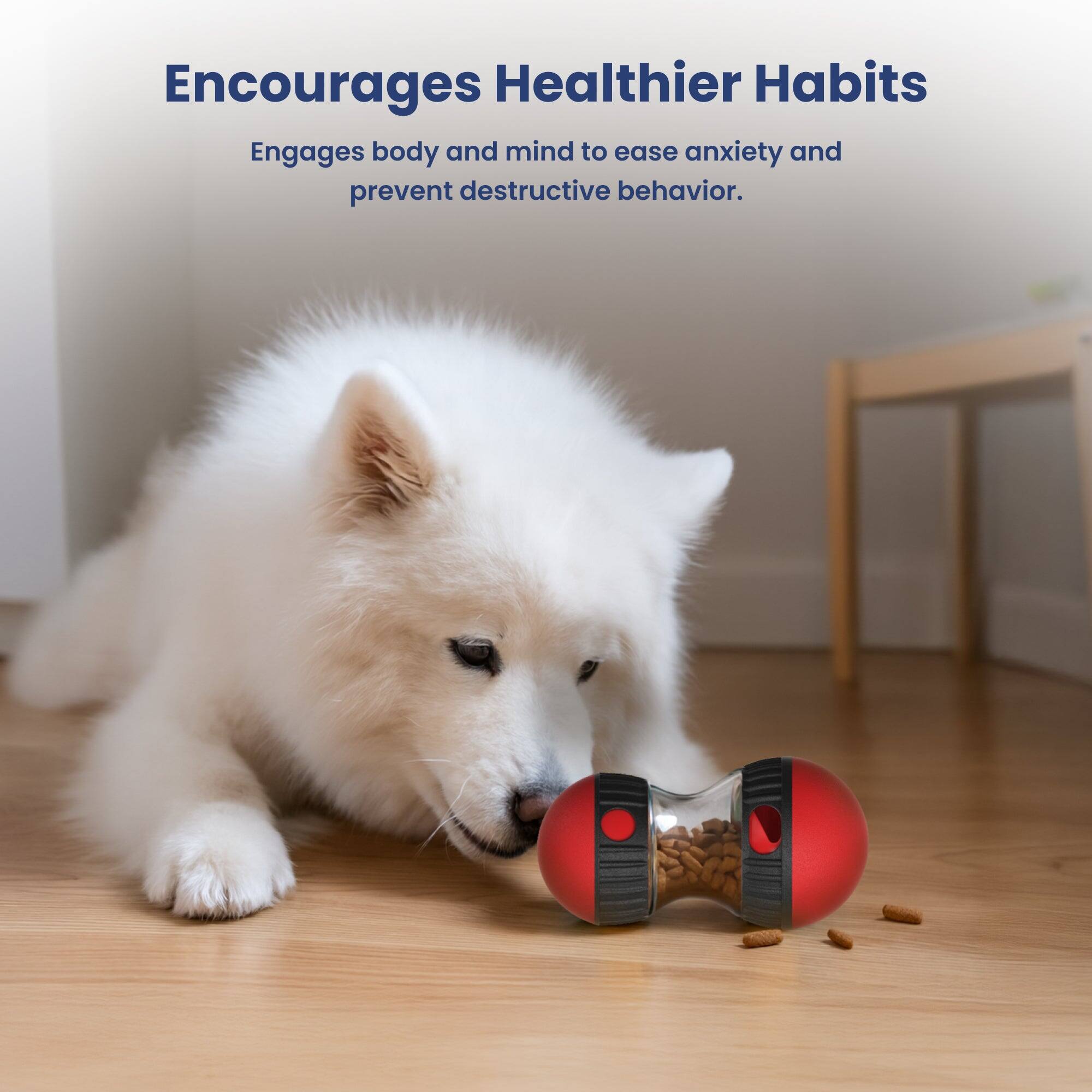Encourages Healthier Habits  
Engages body and mind to ease anxiety and prevent destructive behavior.
