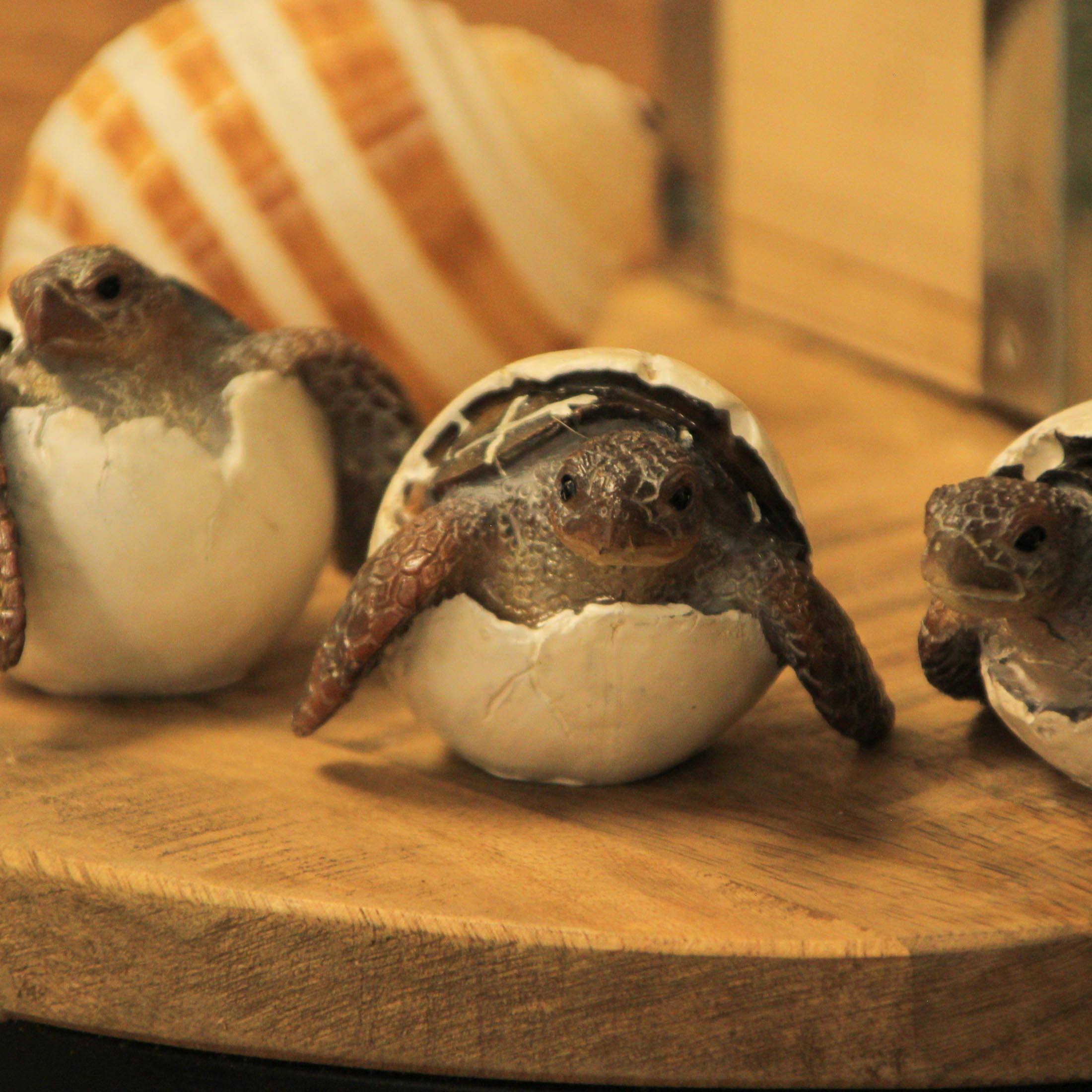 Alt View 4. Things2Die4 - Set of 3 Hand-Painted Resin Hatching Sea Turtle Minifigures-2.75 Inches Diameter - Multicolored.