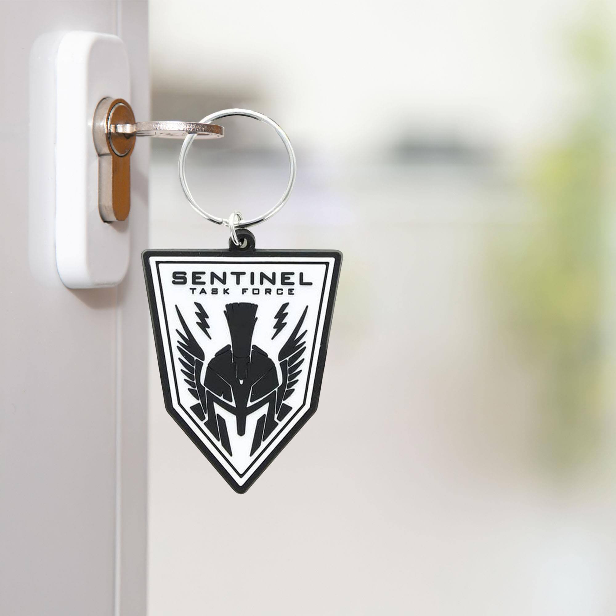 SENTINEL TASK FORCE
