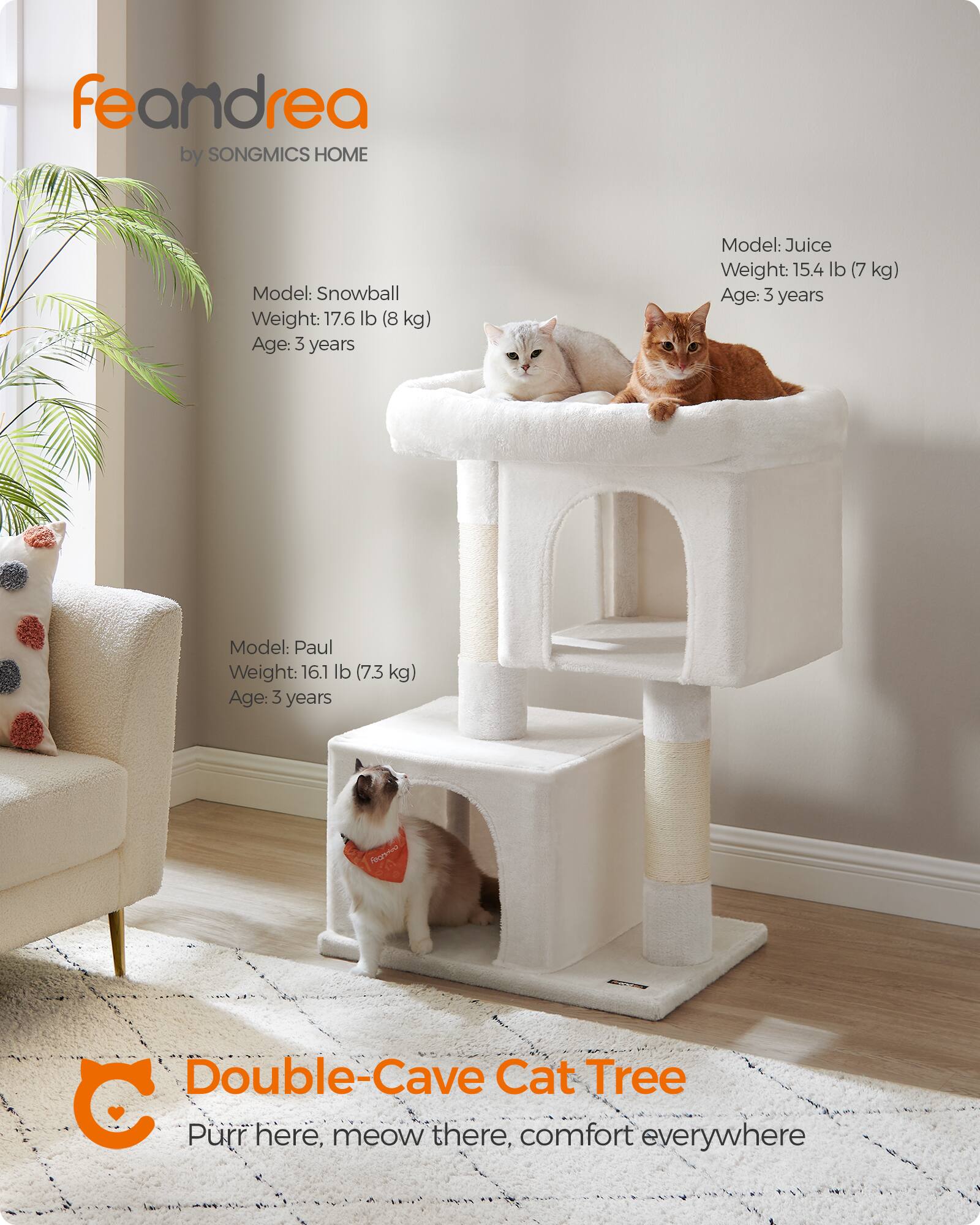 feandrea by SONGMICS HOME

Model: Snowball  
Weight: 17.6 lb (8 kg)  
Age: 3 years

Model: Juice  
Weight: 15.4 lb (7 kg)  
Age: 3 years

Model: Paul  
Weight: 16.1 lb (73 kg)  
Age: 3 years

Double-Cave Cat Tree  
Purr here, meow there, comfort everywhere