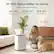 30-Pint Dehumidifier for Home
Small in Size, Big on Efficiency
30 PPD Max Capacity
2000 Ft² Effective Area
15% RH Min. Humidity
