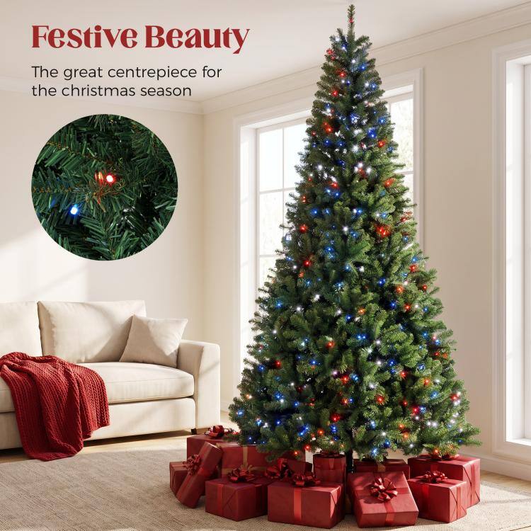 Festive Beauty  
The great centerpiece for the christmas season