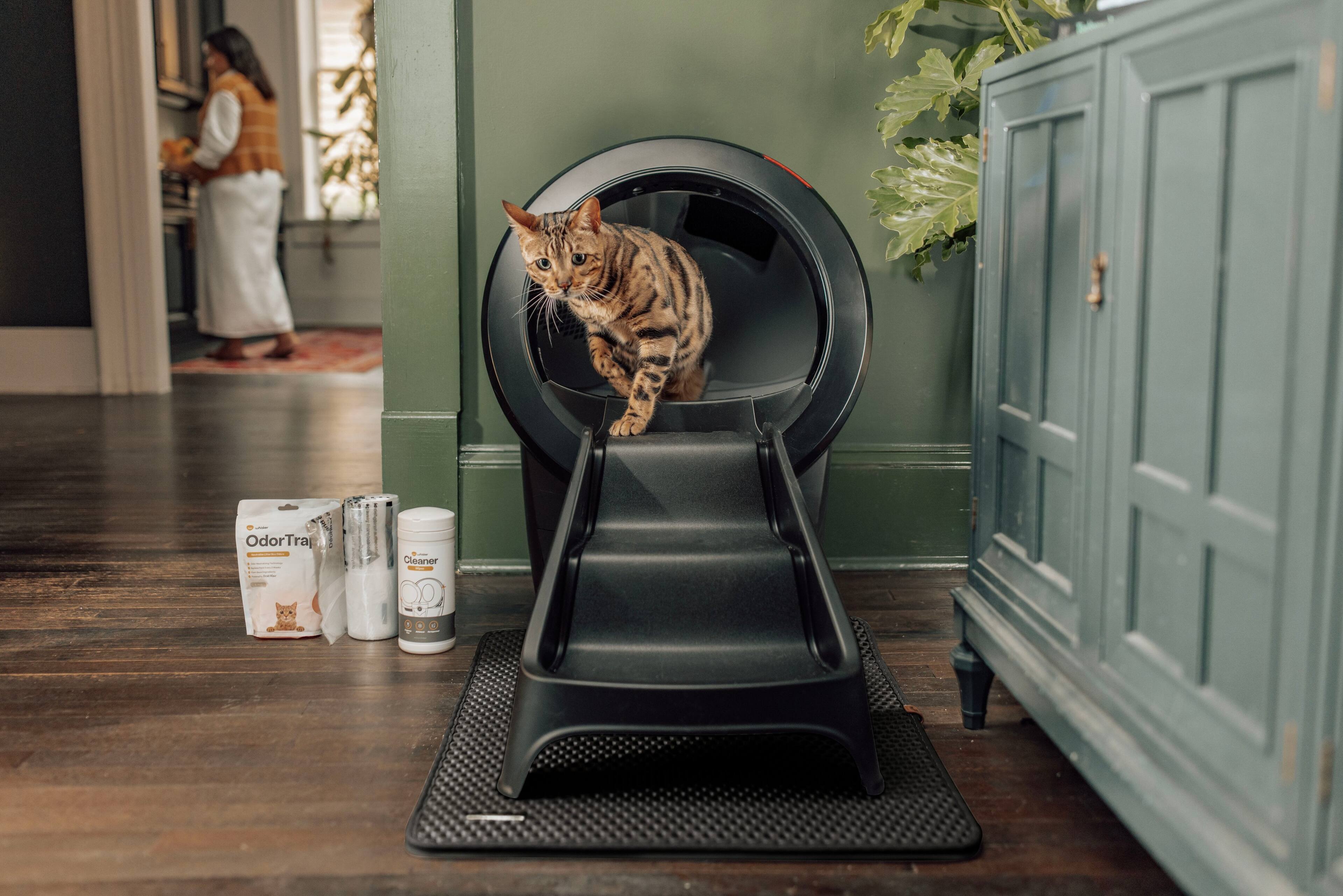 The cat is sitting on a black cat tree, which is located in the corner of the room. The cat tree has a spiral staircase, and the cat is sitting on top of it. The room also features a potted plant and a cabinet.