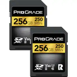 Prograde Digital - SDXC UHS-II U3 Class 10 V60 - 256GB, 2-Pack