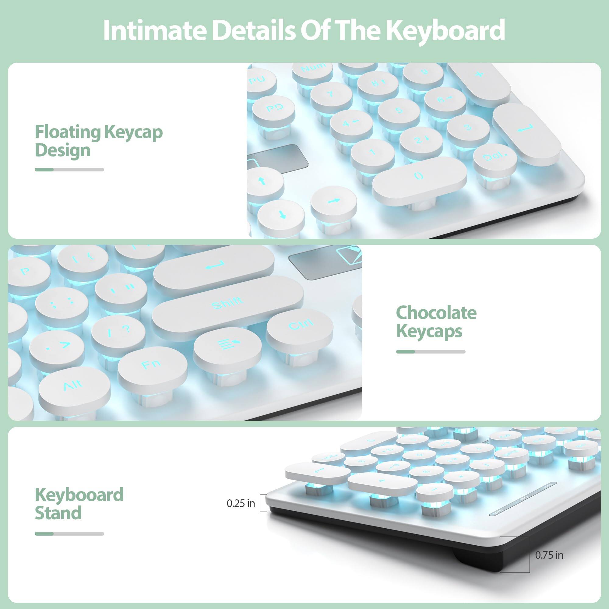 Intimate Details Of The Keyboard

Floating Keycap Design

Chocolate Keycaps

Keyboard Stand

0.25 in

0.75 in
