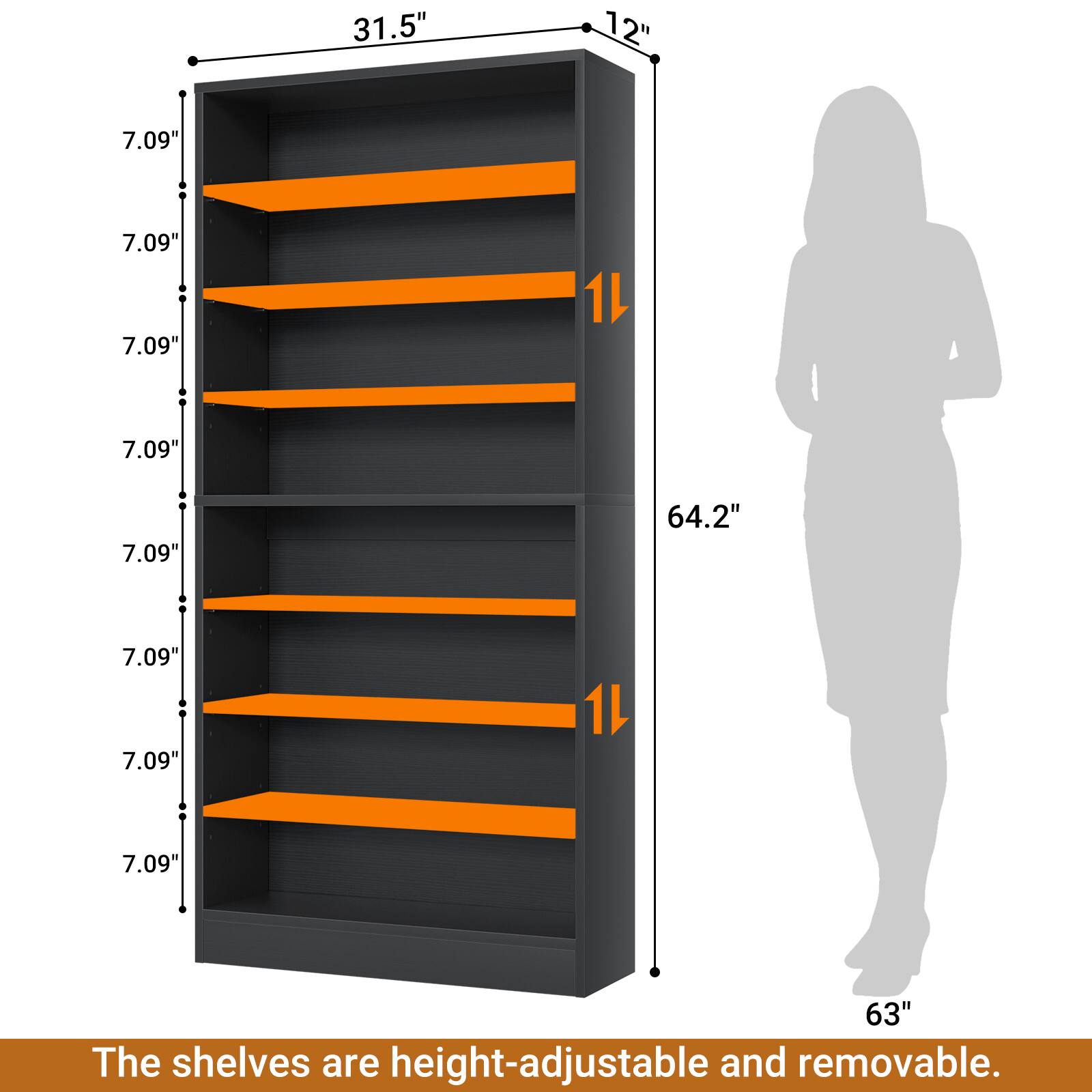 31.5" 12" 7.09" 7.09" 7.09" 1L 7.09" 7.09" 64.2" 7.09" 7.09" 1L 7.09" 63" The shelves are height-adjustable and removable.