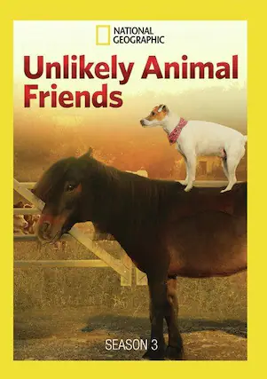 Front. Unlikely Animal Friends Season 3 - DVD.