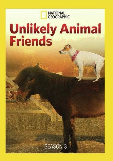 Front. Unlikely Animal Friends Season 3 - DVD.