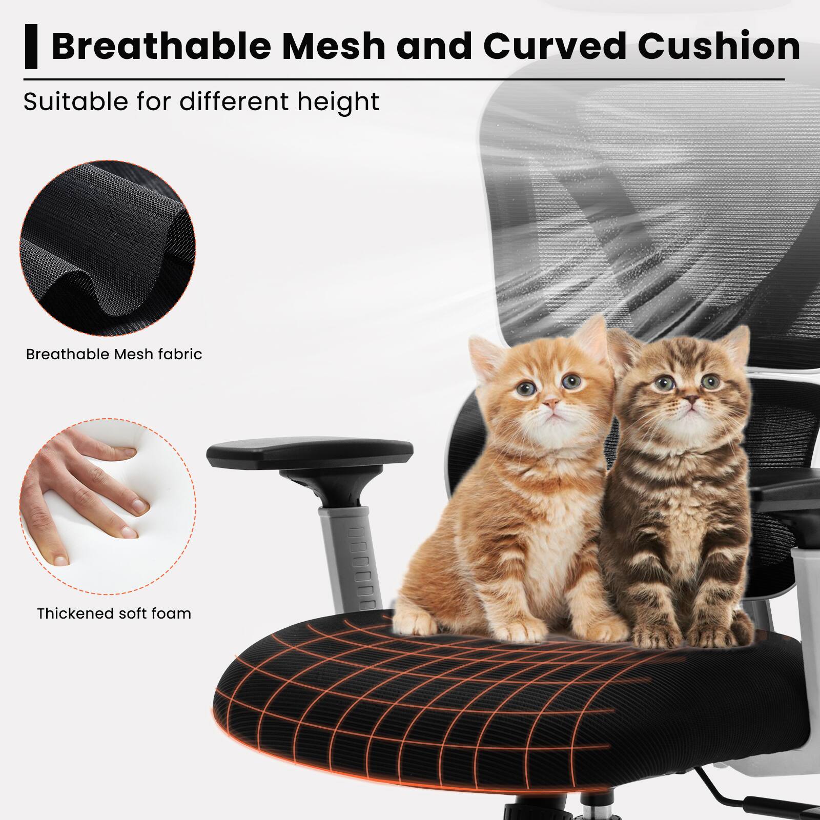 Breathable Mesh and Curved Cushion  
Suitable for different height  

Breathable Mesh fabric  
Thickened soft foam