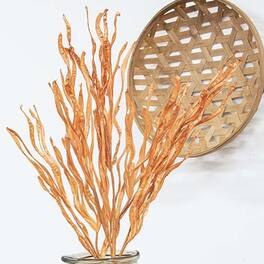 BreeBe - Woodbury Grass Spray - 34" - Orange
