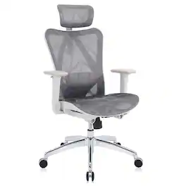 SIHOO - M57 Ergonomic Office Chair with 3D Armrest, Mesh Desk Chair with Lumbar Support, 300lb - Gray