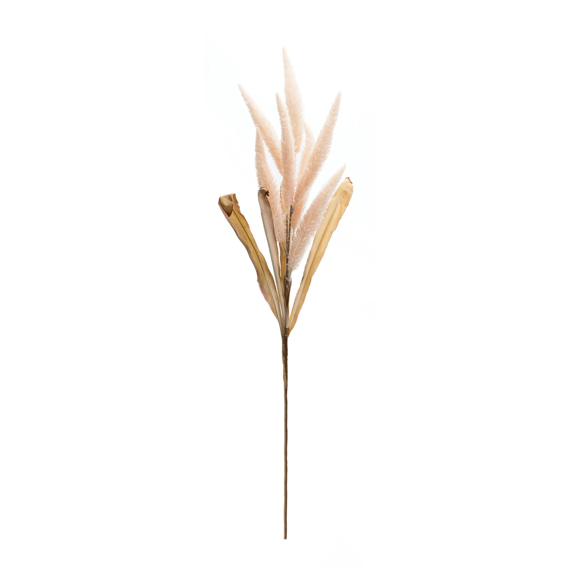 Angle. BreeBe - Foxtail Plume Stem (Set of 2) - Pink, Beige.