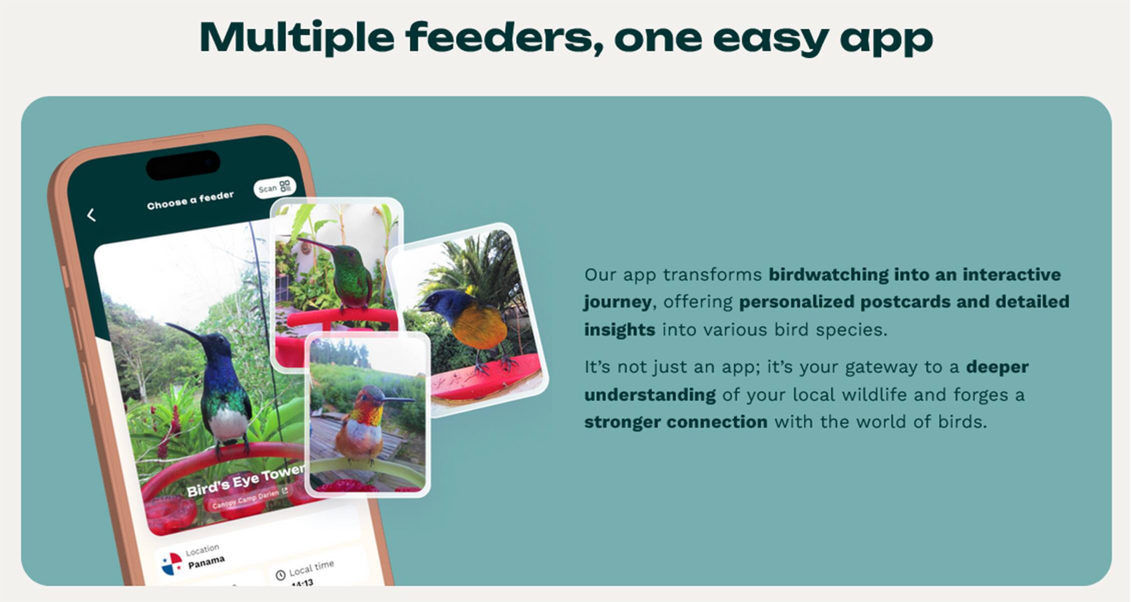Multiple feeders, one easy app. Choose DO Scan or our app, which transforms birdwatching into an interactive journey. Our app offers personalized postcards and detailed insights into various bird species. It's not just an app; it's your gateway to a deeper understanding of your local wildlife and forges a stronger connection with the world of birds.
