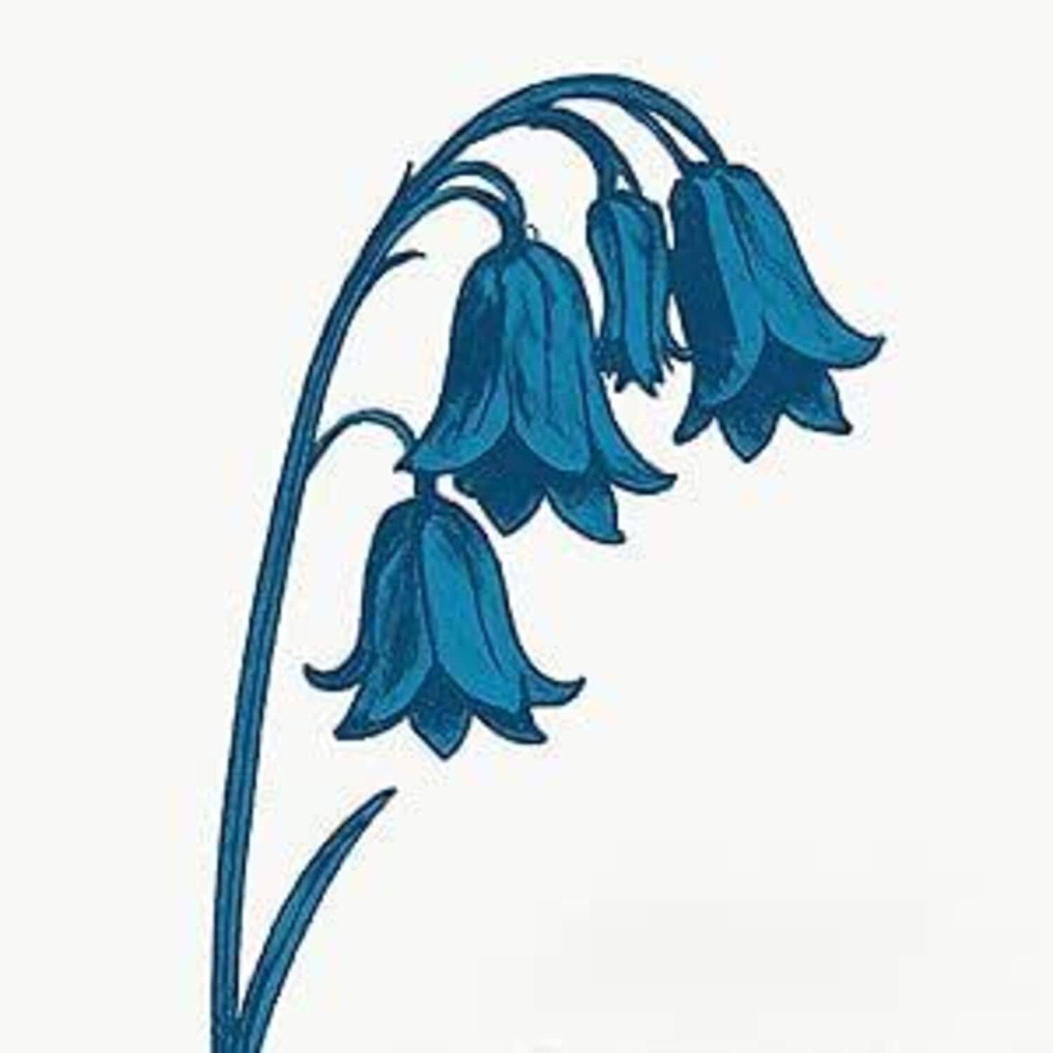 The Bluebells - This Is The Bluebells - Blue Vinyl   - VINYL LP price history on PriceWatchPro