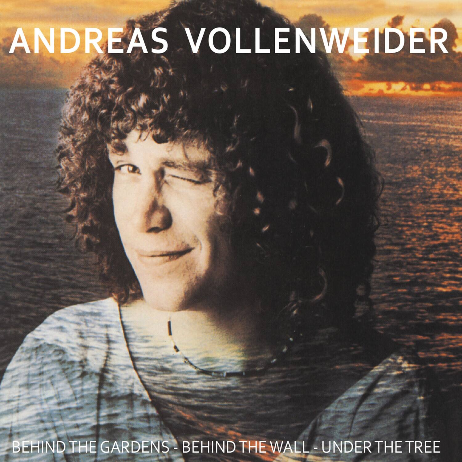 ANDREAS VOLLENWEIDER

BEHIND THE GARDENS - BEHIND THE WALL - UNDER THE TREE