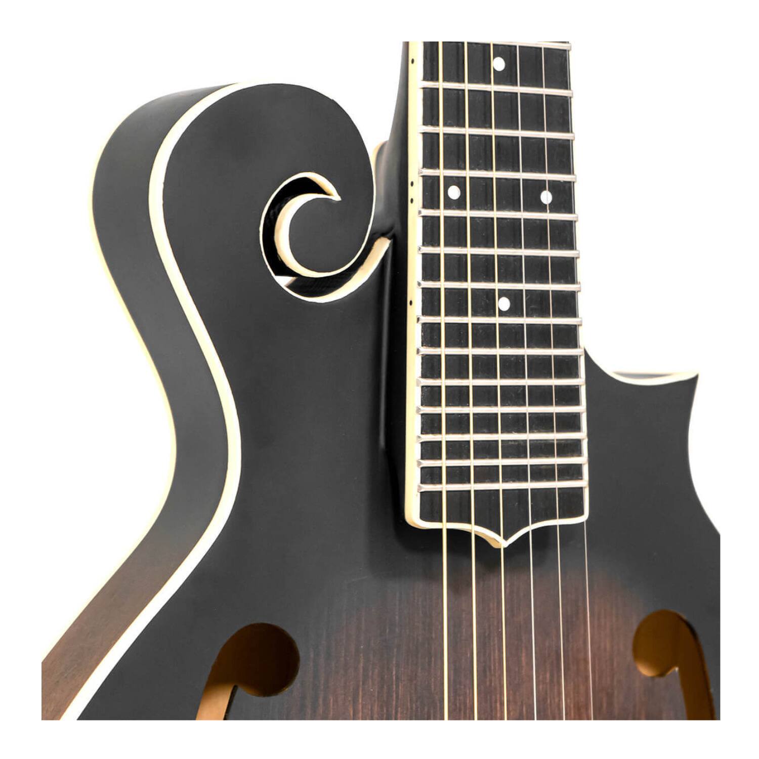 Back. Gold Tone - Gold Tone F-6: 6-string F-style Mando-Guitar with Pickup and Case.