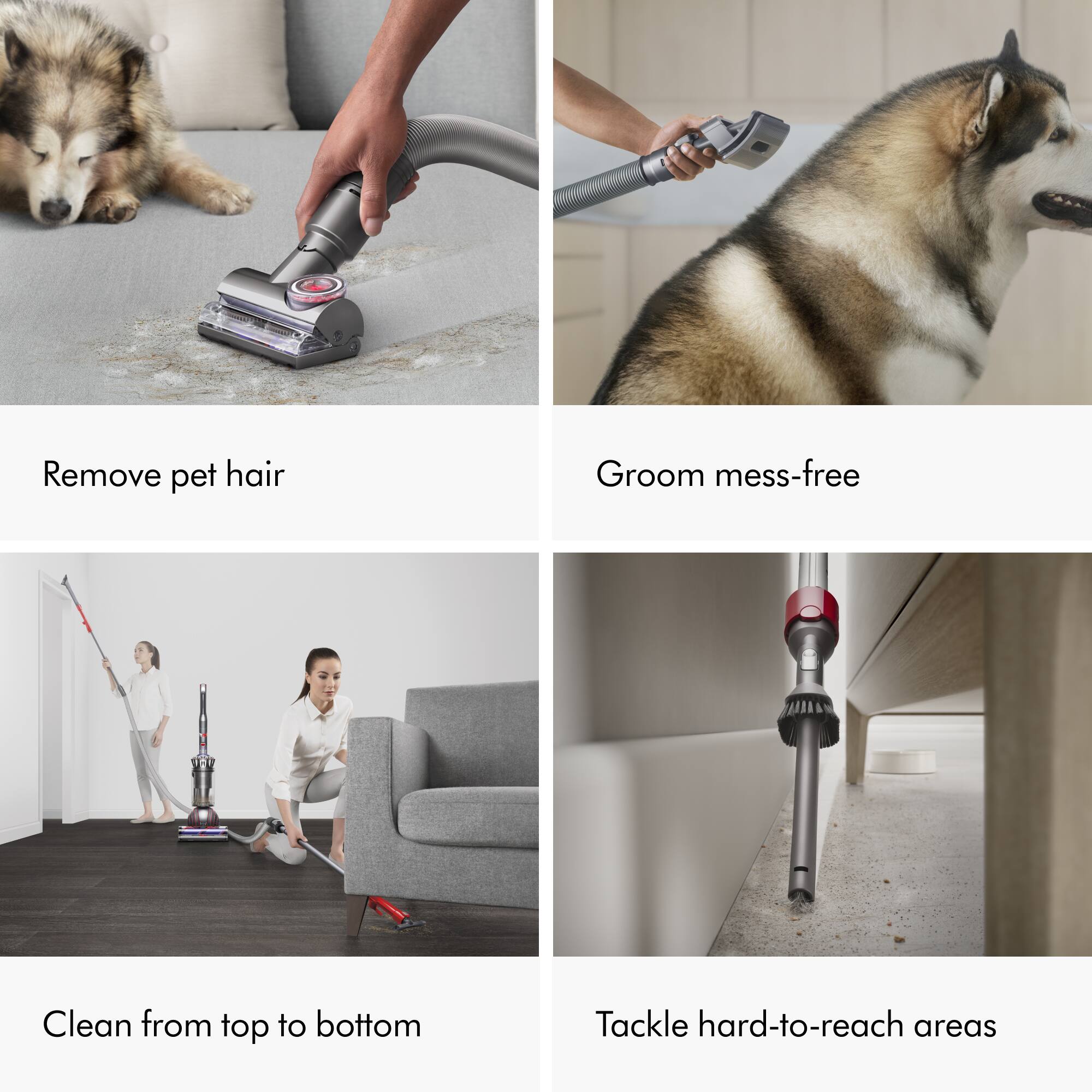 - Remove pet hair
- Groom mess-free
- Clean from top to bottom
- Tackle hard-to-reach areas