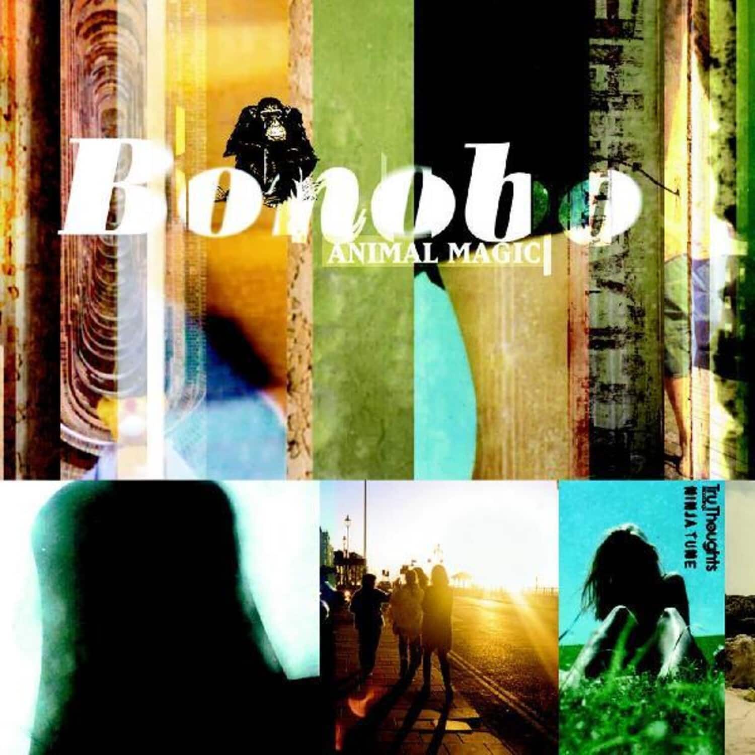 Bonobo - Animal Magic  - CASSETTES