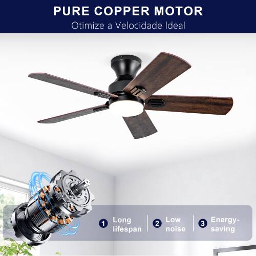 PURE COPPER MOTOR  
Otimiza a Velocidade Ideal  
1. Long lifespan  
2. Low noise  
3. Energy-saving