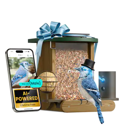 9:41 28 Jul Blue Jay (Male) AI-POWERED Lifetime Free