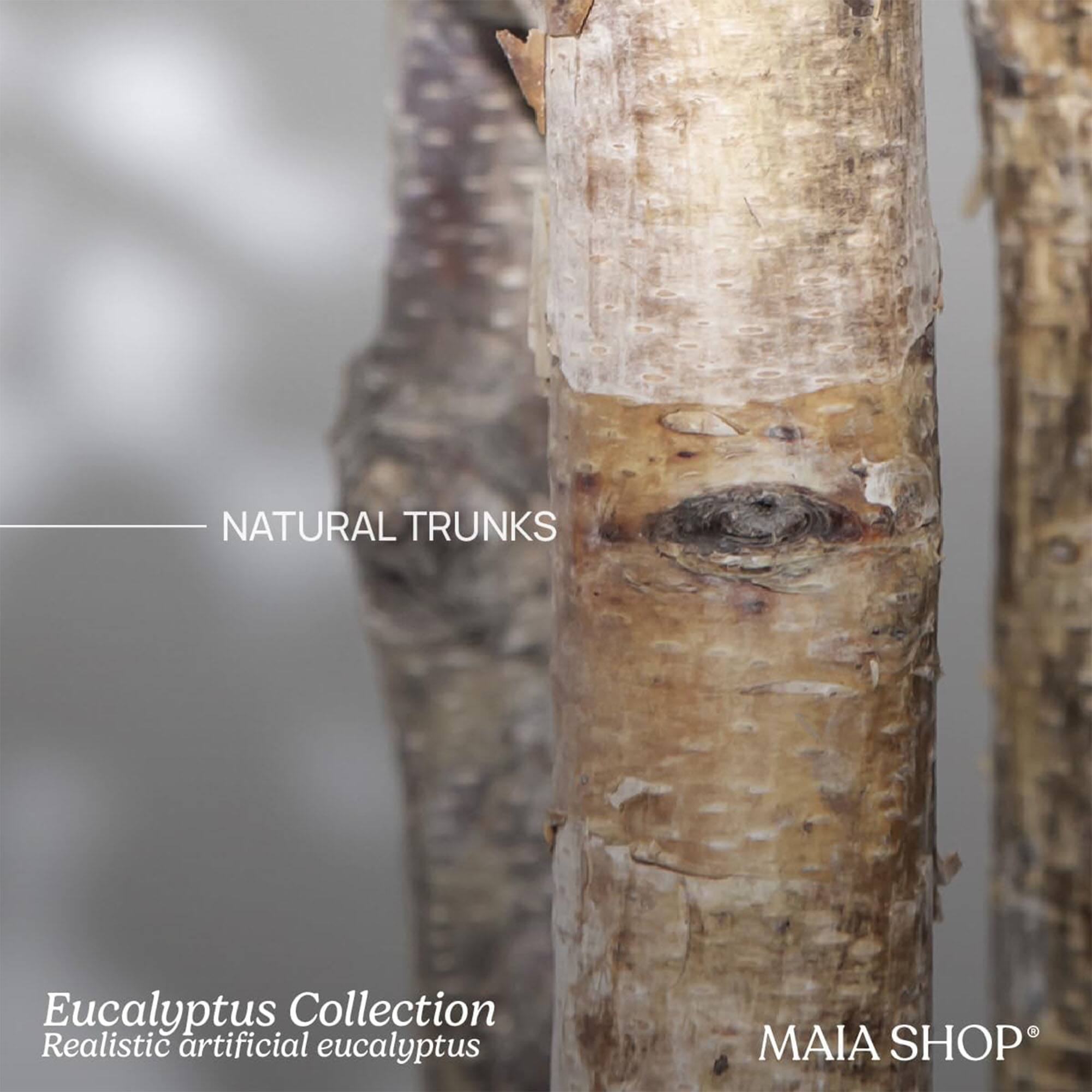 NATURAL TRUNKS

Eucalyptus Collection  
Realistic artificial eucalyptus

MAIA SHOP®