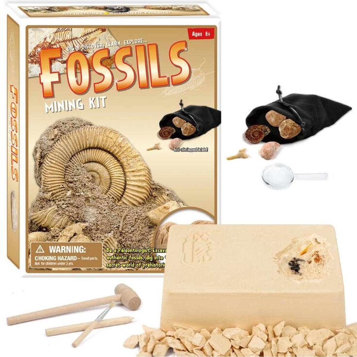 Ages 6+
FOSSILS
MINING KIT
DISCOVER, LEARN, EXPLORE...
WARNING:
CHOKING HAZARD - Small parts. Not for children under 3 yrs.
Be a Paleontologist! Excavate authentic fossils, dig into the secret world of prehistoric life.