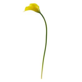 BreeBe - 19.5" Calla Lily Artificial Flower (Set of 12) - Yellow