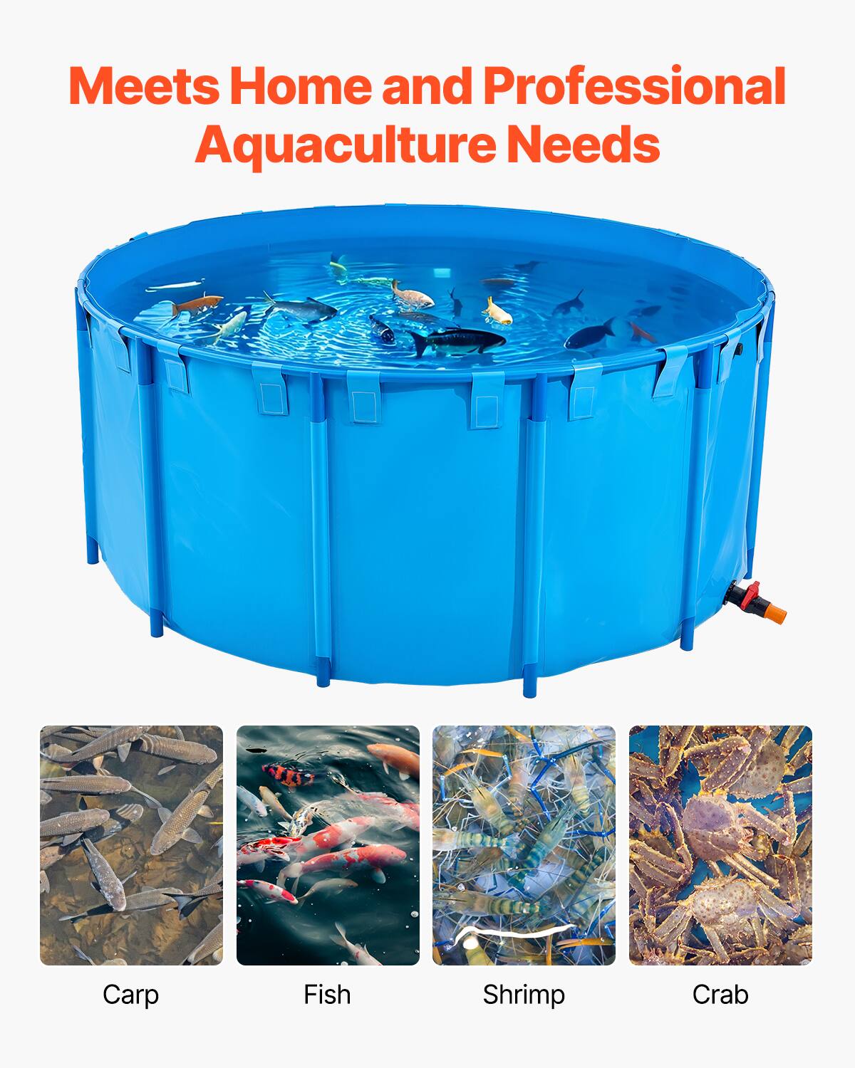 Meets Home and Professional Aquaculture Needs

Carp  
Fish  
Shrimp  
Crab