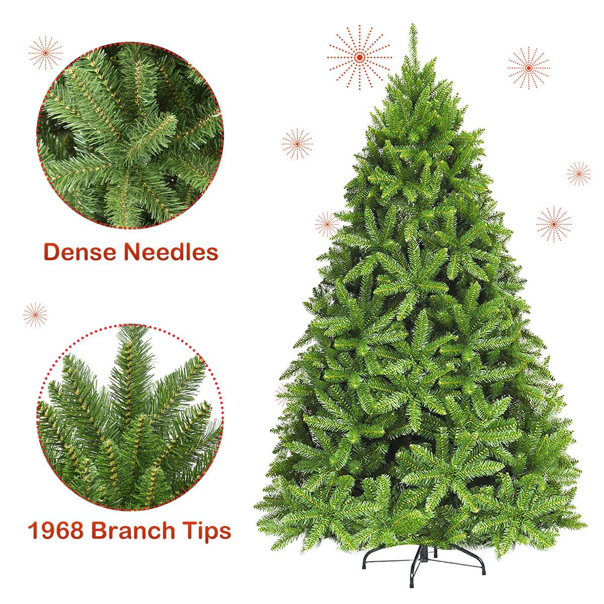 Dense Needles

1968 Branch Tips