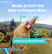 Birdfy AI Can Tell Male or Female Now!
Northern Cardinal (Female)