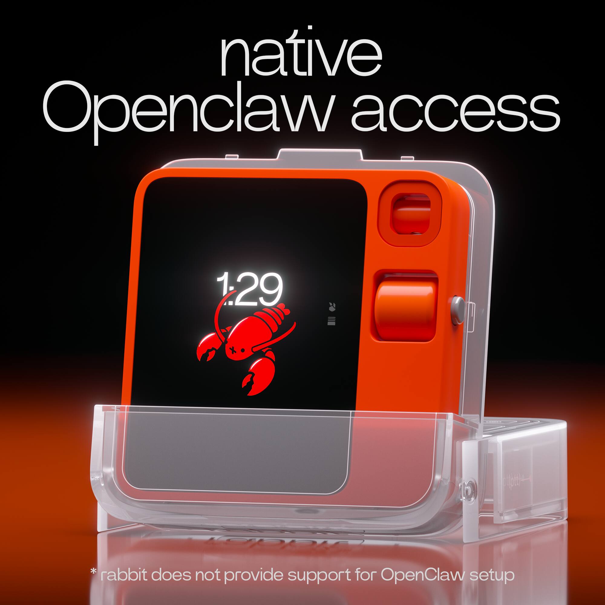 native Openclaw access  
1:29  
* rabbit does not provide support for OpenClaw setup