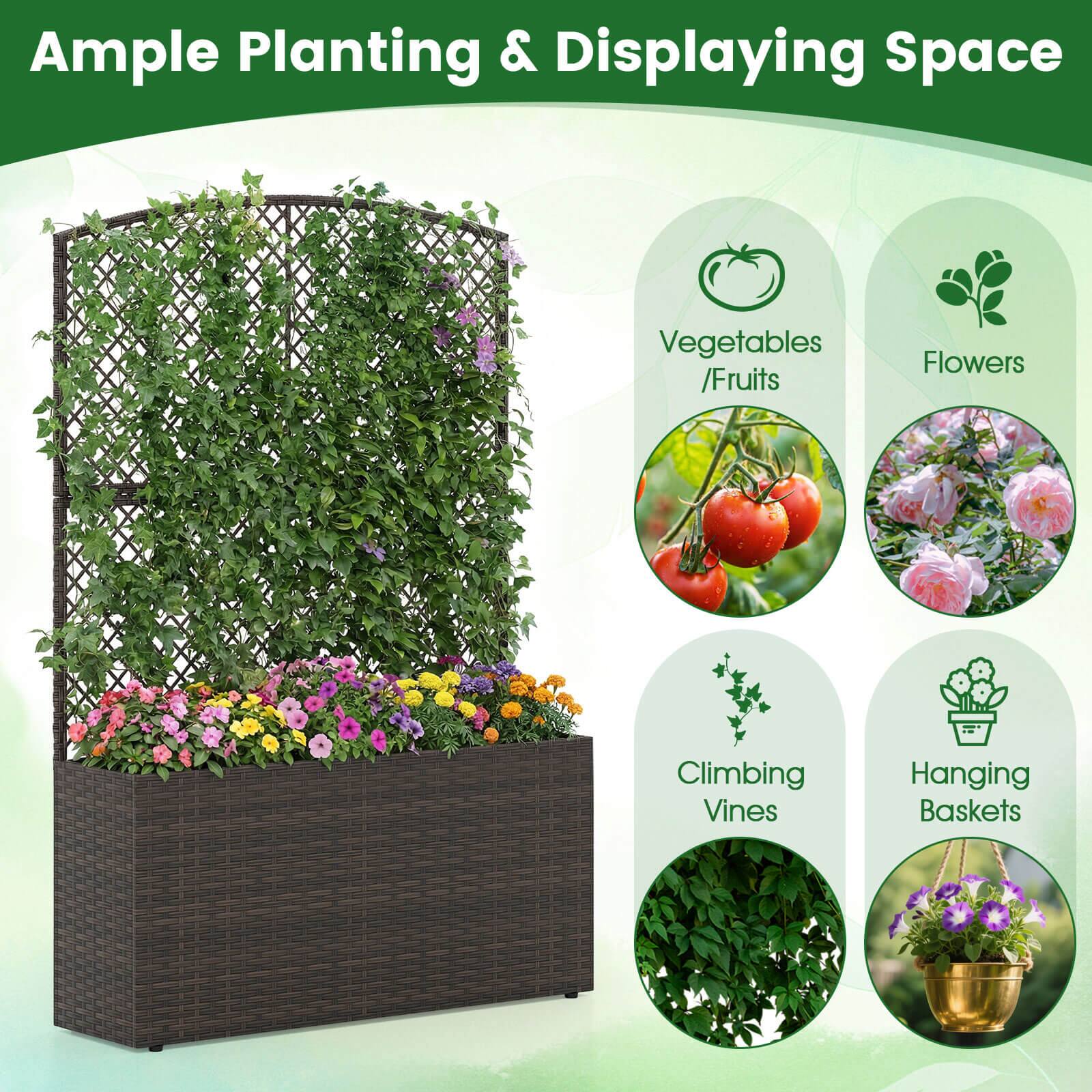 Ample Planting & Displaying Space

- Vegetables / Fruits
- Flowers
- Climbing Vines
- Hanging Baskets