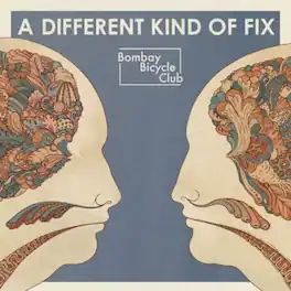 Bombay Bicycle Club - Different Kind of Fix - VINYL LP