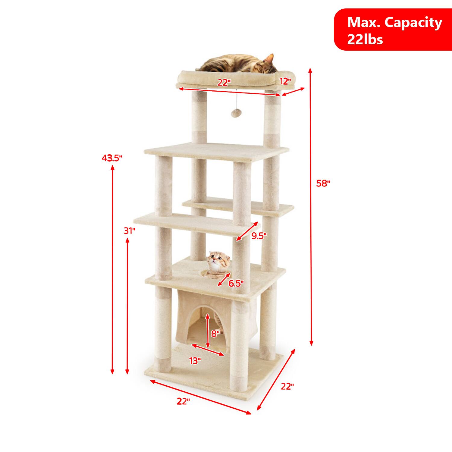 Max. Capacity 22lbs  
22" 12" 43.5" 58" 31" 9.5" 6.5" 8" 13" 22" 22"