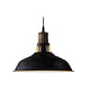 Front. MOOSE - Siracusa Industrial Black Barn Pendant Light - 1-Light Loft Fixture - Black.
