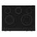 Alt View 2. Thor Kitchen - Gordon Ramsay Series by Thor Kitchen 6.0 Cu. Ft Freestanding Electric Range - Black.