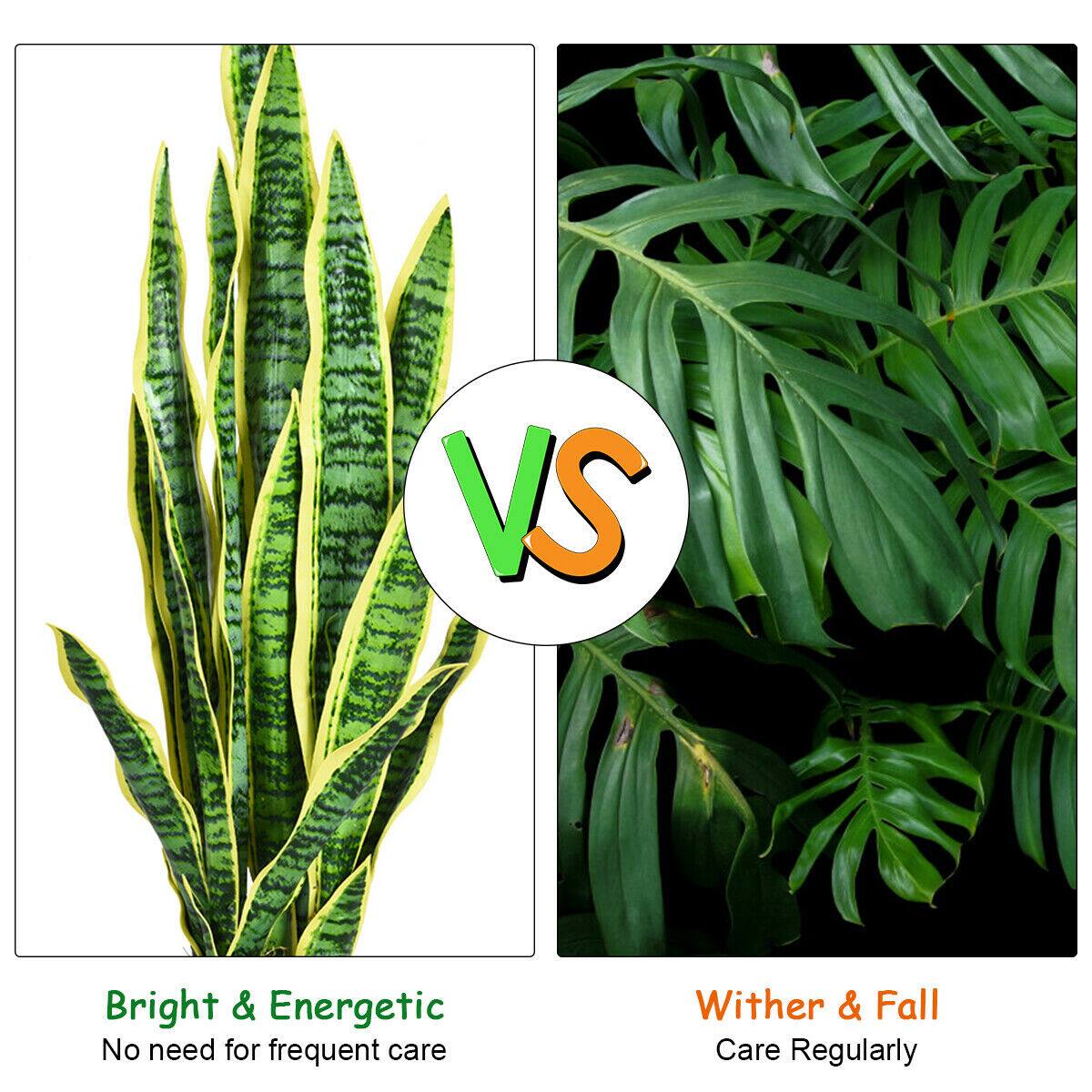 Bright & Energetic  
No need for frequent care

VS

Wither & Fall  
Care Regularly