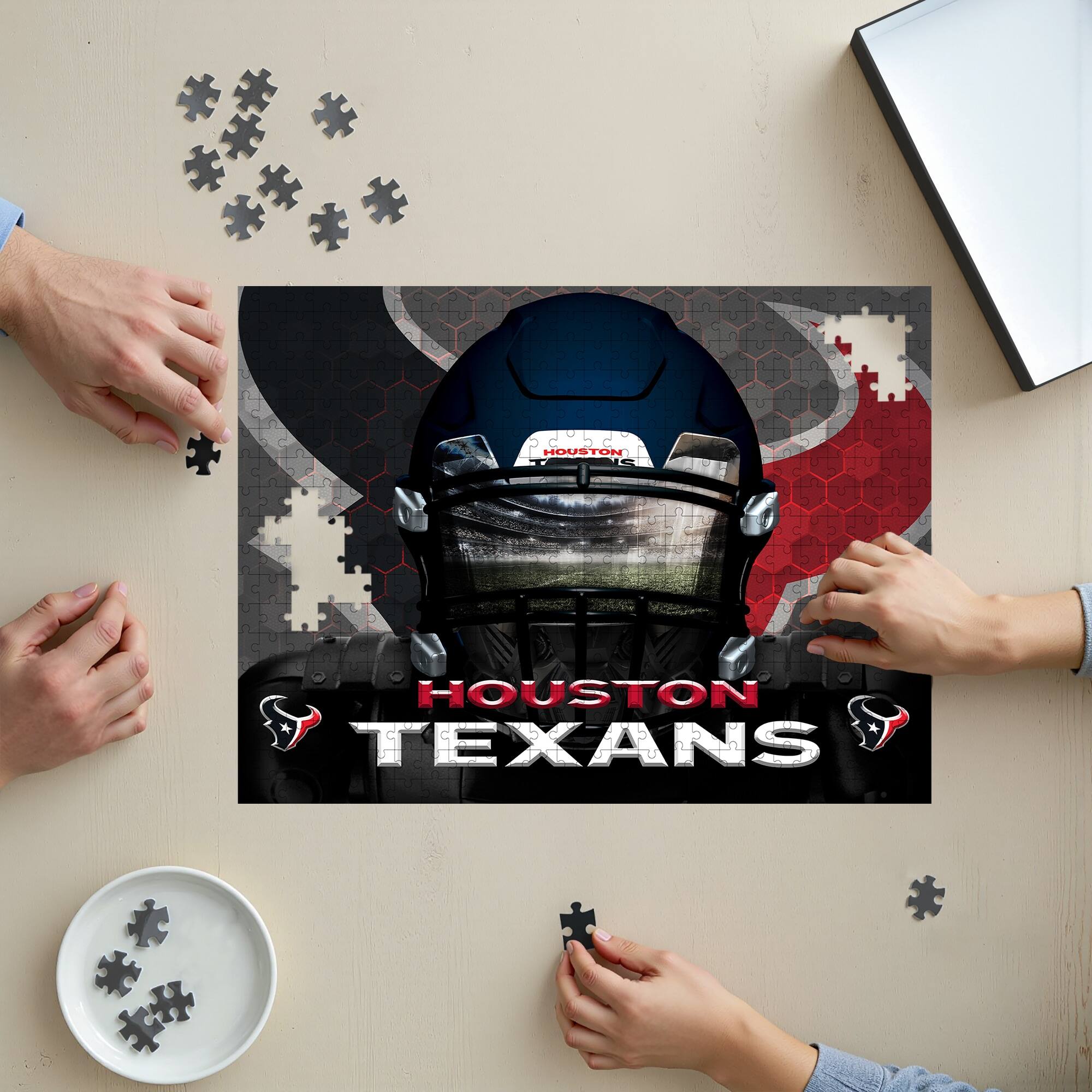 HOUSTON TEXANS