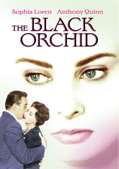 Black Orchid - DVD