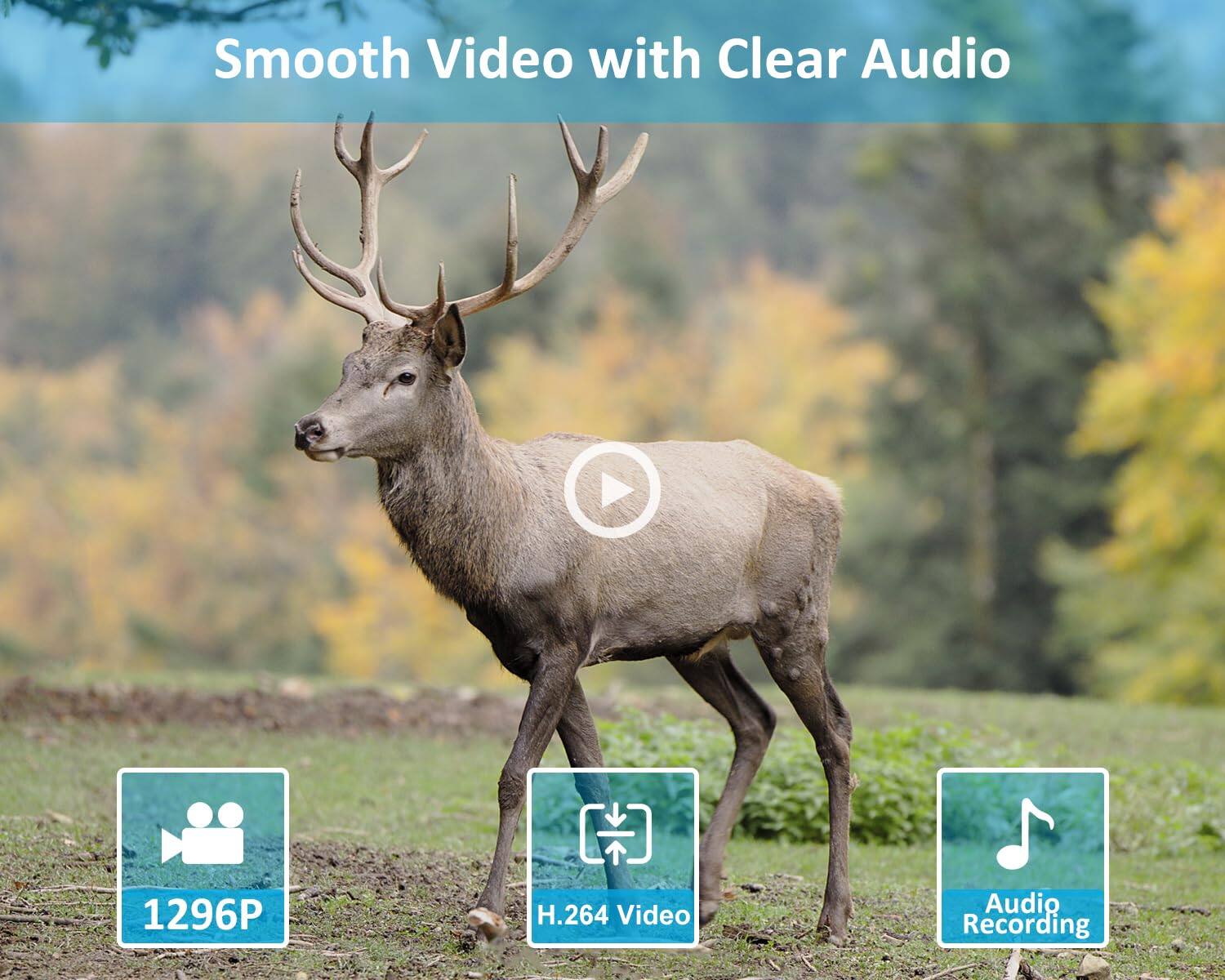 Smooth Video with Clear Audio

1296P

H.264 Video

Audio Recording