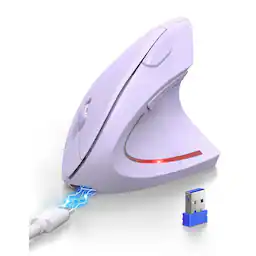 Light Purple-Standard