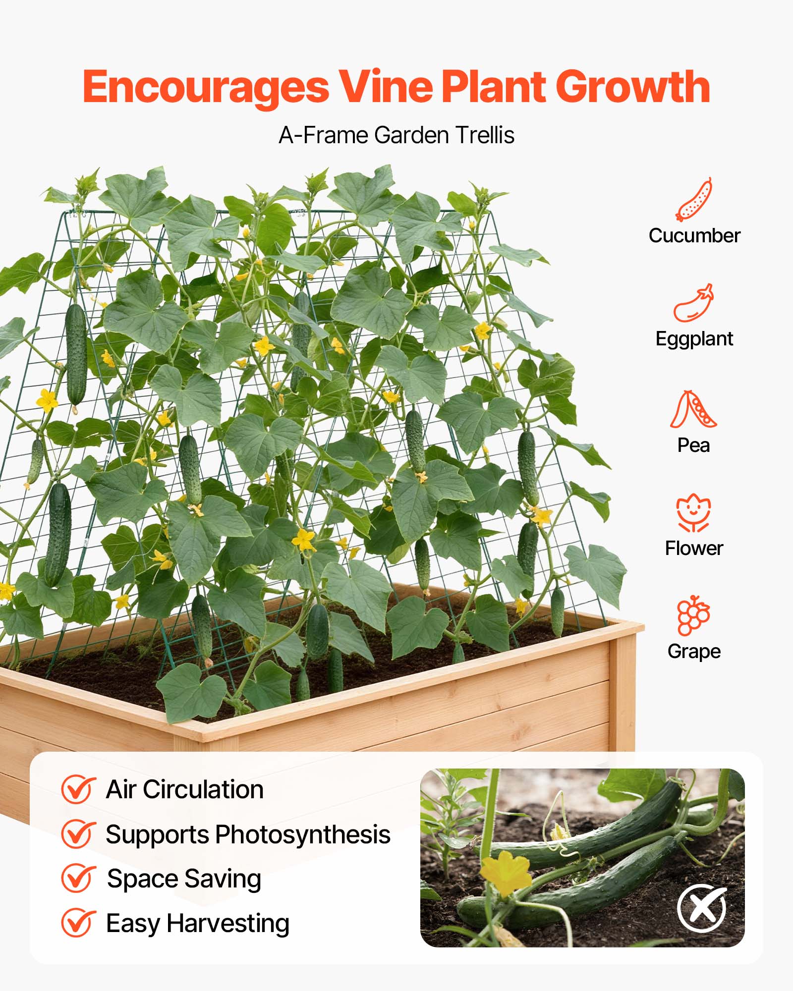Encourages Vine Plant Growth  
A-Frame Garden Trellis  

Cucumber  
Eggplant  
Pea  
Flower  
Grape  

Air Circulation  
Supports Photosynthesis  
Space Saving  
Easy Harvesting