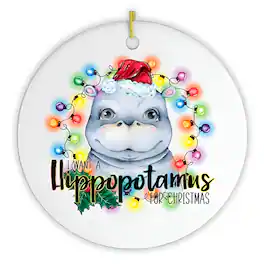 OrnamentallyYou - Hippopotamus Christmas Ornament - Multi-colored