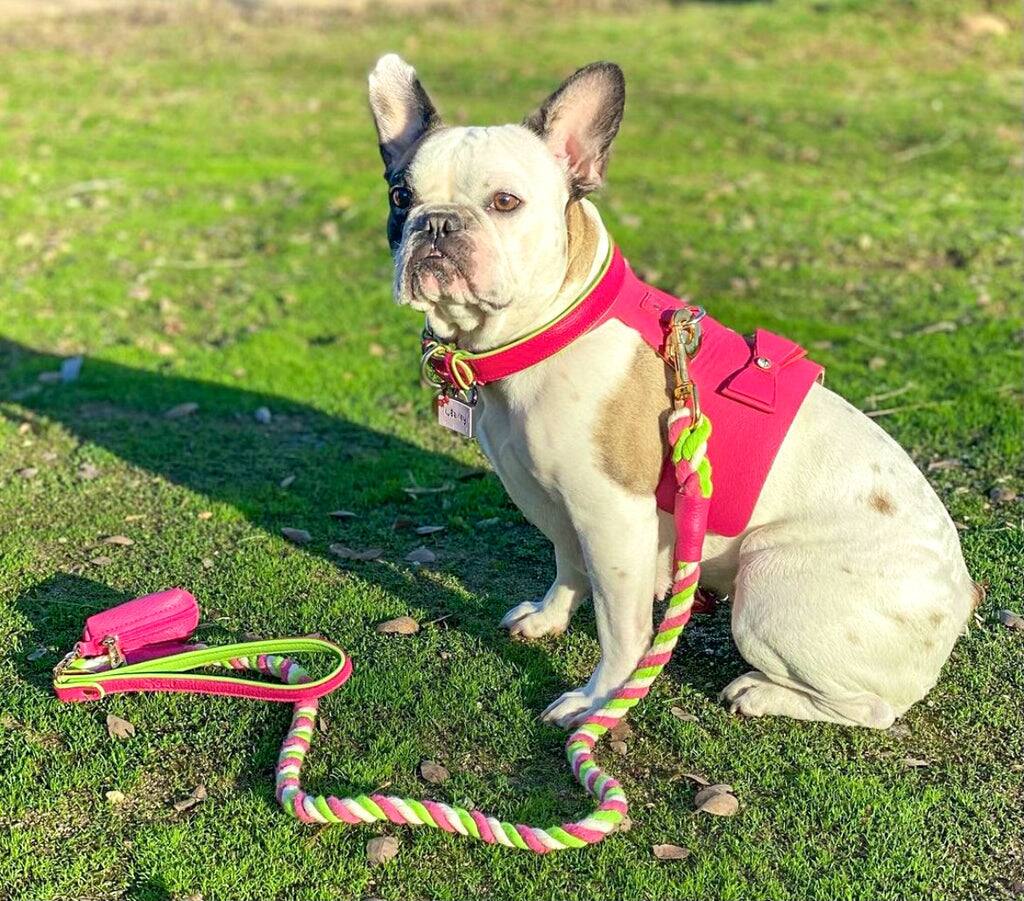 Left. PoisePup - PoisePup Pet Dog 5ft Long Leash - Pink | Green.
