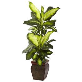 BreeBe - Golden Dieffenbachia w/Decorative Planter - Multicolor 1