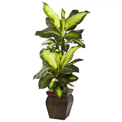 Front. BreeBe - Golden Dieffenbachia w/Decorative Planter - Multicolor 1.